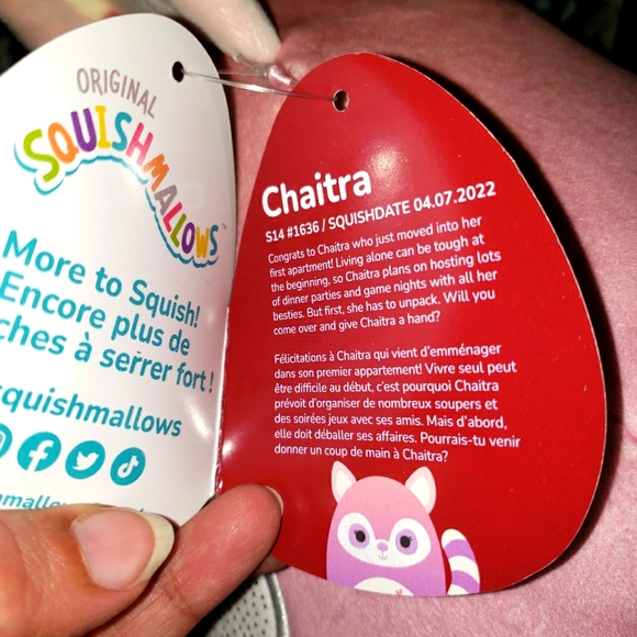 Squishmallows 14" Chaitra Purple Lemur HEARTS Valentines 2023 Kellytoy NWT - Picture 7 of 7